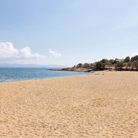 Villa San Dimitrio House On The Beach Logaras Exterior photo
