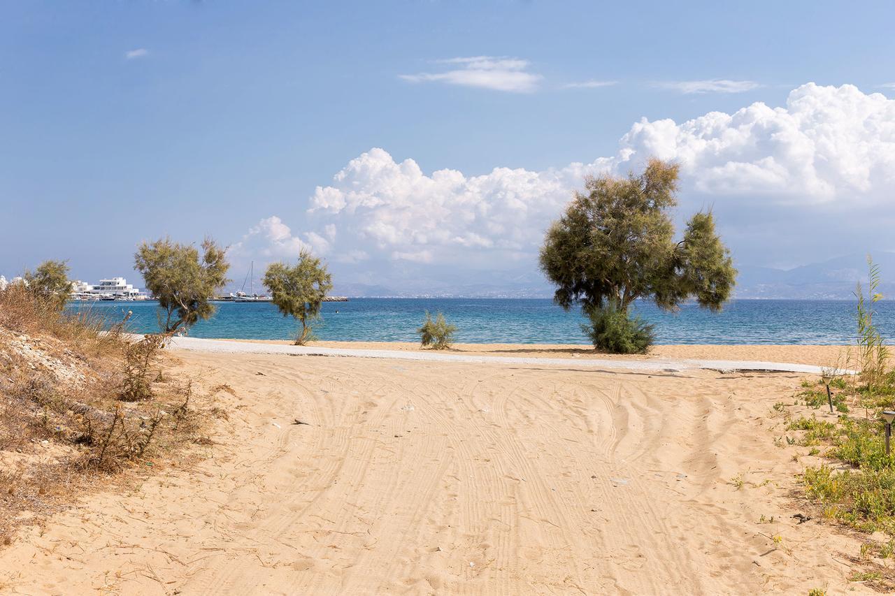 Villa San Dimitrio House On The Beach Logaras Exterior photo